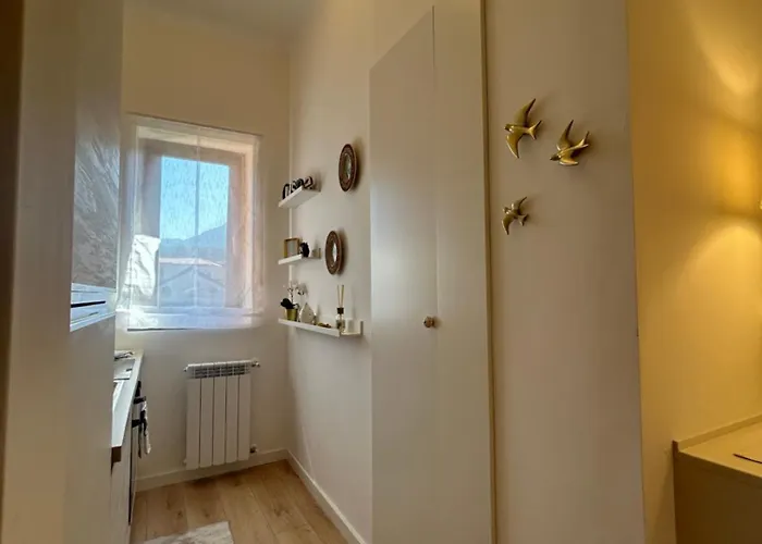 V&c Specialist Fronte Maggiore