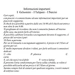 V&c Specialist Fronte Maggiore Germignaga