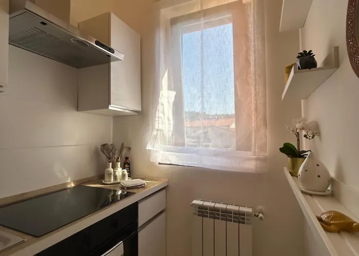 V&c Specialist Fronte Maggiore Germignaga